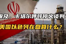 反抗经济与向东看，伊朗的反美大战略视频封面