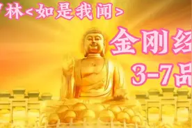 罗林<如是我闻>金刚经3-7品视频封面