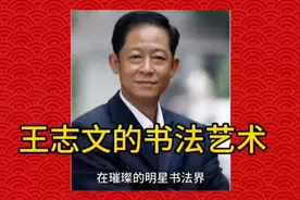 王志文的书法视频封面