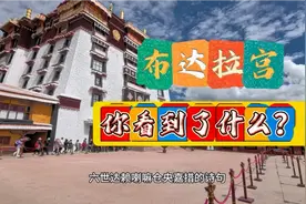 布达拉宫值钱又震撼的它说第二没人敢说第一我看到了带你云游西藏视频封面