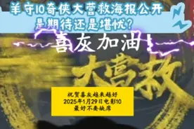 羊守10奇侠大营救海报公开是期待还是堪忧？视频封面