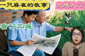 一只麻雀的故事，看了三遍太感人视频封面