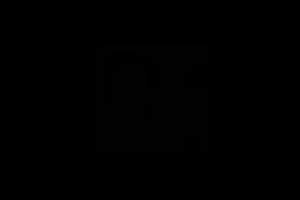 你这只呆萌小白虎！居然是女帝契约兽视频封面