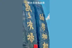 黙乡农场等你来