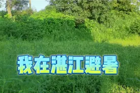 我说在湛江避暑，夏天睡觉盖被子，很多人不信。真实视频来了