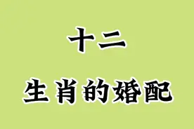 十二生肖的婚配，你都知道哪些呢？视频封面