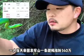 颜料师进哀牢山被熊跟踪，水中巨物疑似蛟龙？视频封面
