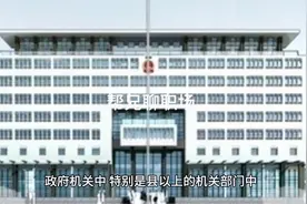 各级机关中的总师是什么职务？