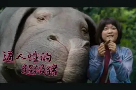 宠物猪十年后体型如象，万众瞩目下，女孩儿用一生守护！视频封面