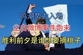 【尘白禁区】微博女拳对线前后始末！胜利前夕鸣潮下场摘桃子？视频封面