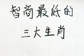 智商最低的三大生肖视频封面