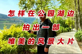 教你拍视频！怎样在公园的湖边拍出一部，精彩唯美的风景大片！