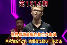 不可多得的直板天才费利克斯勒布伦距离世界之巅仅一步之遥视频封面