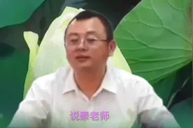 人的性格很难改的🌸你试一试这样去做🌸视频封面