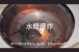 水蛭用火烧会爆炸吗？