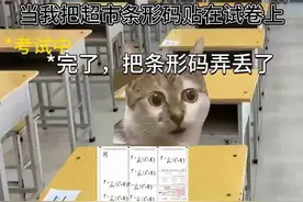 当你把超市条形码贴到答题卡上 #猫meme #搞笑 #给瓦火 #真实还原视频封面