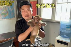 河南新野猴子养殖场老板讲讲养猴的经验特点，真开眼界，涨知识了