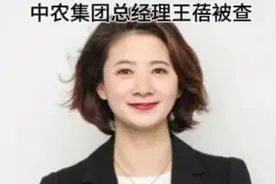 中农集团总经理王蓓被查视频封面