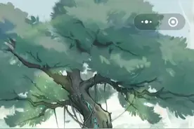 寻道大千视频封面