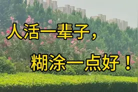 火爆网红唱段饱含人生哲理:  人活一辈子，糊涂一点好视频封面