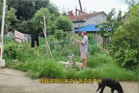 暂停游戏搬砖工作后，小罗更忙了，又要大力整顿农业还要洗衣做饭视频封面