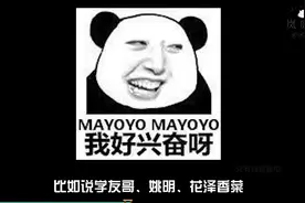 我国表情包成功出海！沙雕熊猫头笑坏老外视频封面