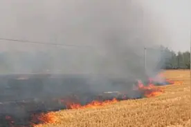 禁烧秸秆政策下农民困境：专家建议引发社会热议，农民陷入两难视频封面