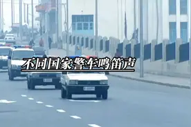 各国警车鸣笛对比大揭秘#科普#涨知识#有趣的知识#奇趣#趣味视频封面