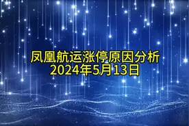 凤凰航运涨停原因分析20240513视频封面