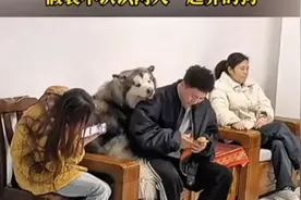 男朋友第一次正式来家里见家长，假装不认识两人一起养的狗视频封面