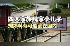 据爆料四大家族魏家小儿子可能藏在国内！！视频封面