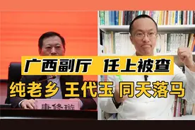 广西打虎！桂林市人大副主任唐修璇落马！纯老乡王代玉同一天被查视频封面