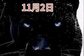 历史上的今天11月2日发生过哪些大事件