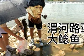 渭河鲶鱼真多啊，大鱼到处都有啊，真开心视频封面
