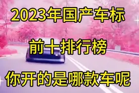 2023年国产车标，前十排行榜，你开的是哪款车呢视频封面