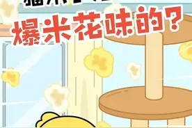猫爪子为什么是爆米花味的