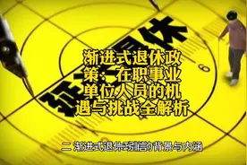 渐进式退休政策：在职事业单位人员的机遇与挑战全解析视频封面