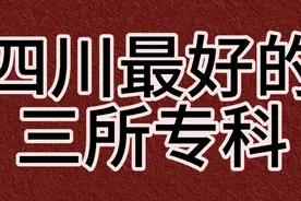 四川最好的三所专科视频封面