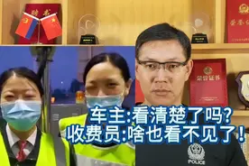 蜜蜂转运车辆想走绿通，收费员强行开箱检查，被蜜蜂蛰了视频封面