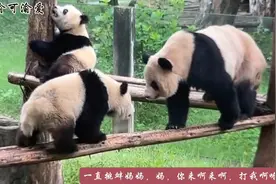 一心求打的烂背心，怎么办呢？妈妈只能满足他了😂视频封面