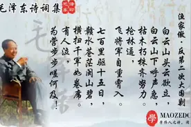 《渔家傲·反第二次大围剿》毛泽东经典诗词走七百里打五战视频封面