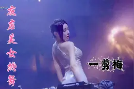 2024抖音全网爆红/83年经典老歌《一剪梅》DJ完整版，太好听了