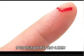 梦见受伤流血视频封面