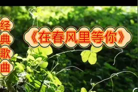 经典歌曲《在春风里等你》，愿你春风得意马蹄爽，一路如意顺风！视频封面