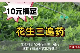 教你一招，花生三遍药只需10元便可搞定！农民快学学