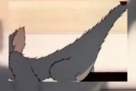 猫鼠大战视频封面