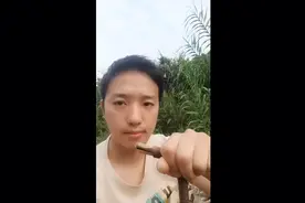 个人宣传脑控是什么感受，望引起社会关注。视频封面