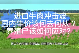 进口牛肉冲击波 ！我国牛价该何去何从？养殖户该如何面对视频封面