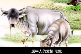 属牛人爱情问题及改变桃花运程