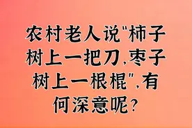 农村老人说“柿子树上一把刀，枣子树上一根棍”，有何深意呢？视频封面